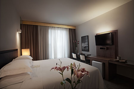 OURO MINAS PALACE HOTEL