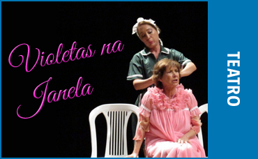 VIOLETAS NA JANELA